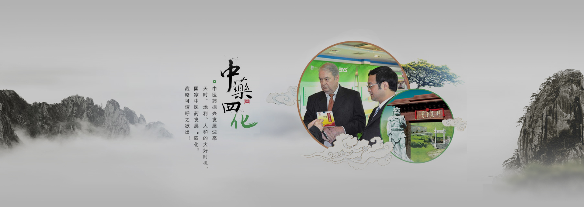 密云建站-若一医药科技