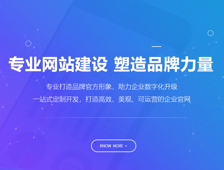 东城建站-专业网站建设 塑造品牌力量